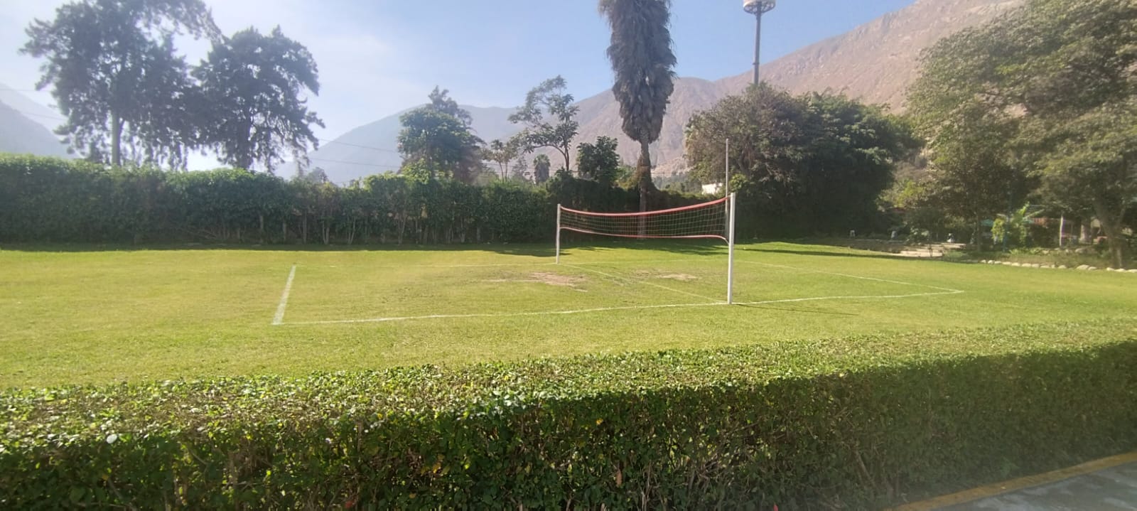 WhatsApp Image 2026-03-08 at 5.00.38 PM (4)