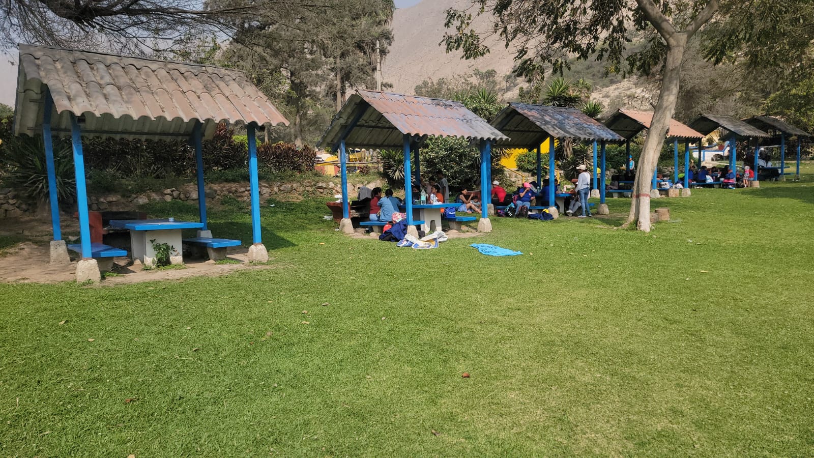 WhatsApp Image 2026-03-08 at 5.00.39 PM